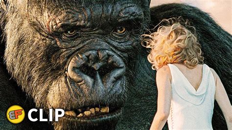 does king kong die 2005|king kong 2005 ending scene.